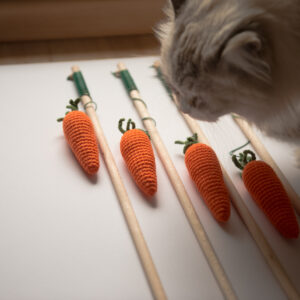 zabawka dla kota wędka marchewka