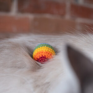 tęczowa piłeczka dla kota