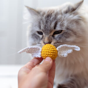 Złoty Znicz Złoty znicz zabawka dla kota z serii książek Harry Potter