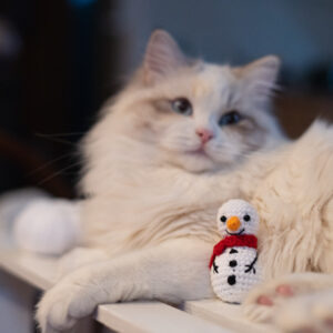 bałwanek szydełkowy zabawka dla kota bałwanek szydełkowy zabawka dla kota, kot Neva masquerade w tle